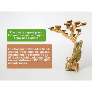 Aquarium Driftwood Moss Bonsai Tree Aquascape, Terrarium Aquarium Tank Decor, Betta Fish Moss Tree by Dovaart.com