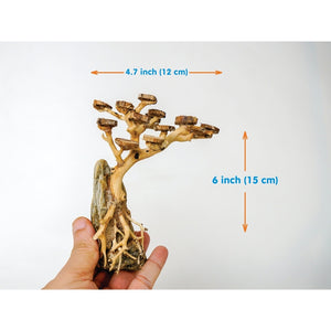 Aquarium Driftwood Moss Bonsai Tree Aquascape, Terrarium Aquarium Tank Decor, Betta Fish Moss Tree by Dovaart.com