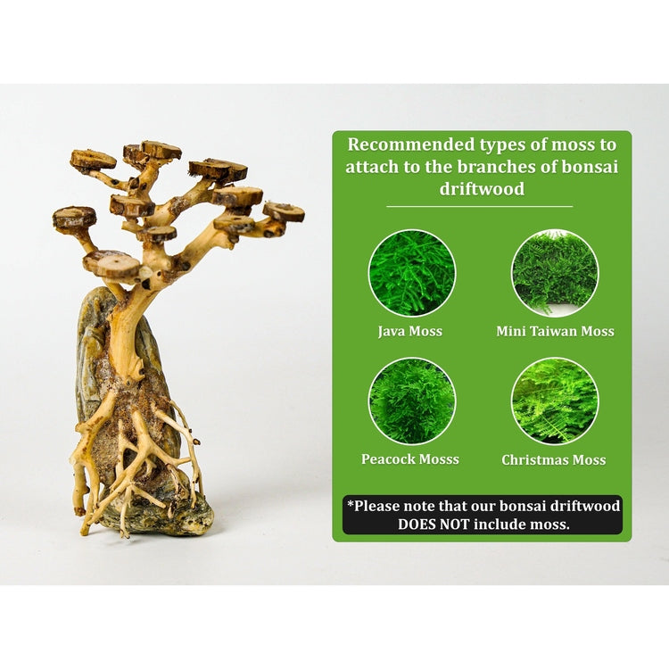 Aquarium Driftwood Moss Bonsai Tree Aquascape, Terrarium Aquarium Tank Decor, Betta Fish Moss Tree by Dovaart.com