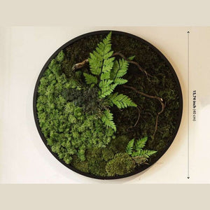 Dova Art Circle Moss Art, Living Moss Wall Art, Preserved Moss Art No Maintenance, Moss Pictures, Modern Moss Art Designs For Minimalist Homes by Dovaart.com