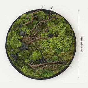 Dova Art Circle Moss Art, Living Moss Wall Art, Preserved Moss Art No Maintenance, Moss Pictures, Modern Moss Art Designs For Minimalist Homes by Dovaart.com