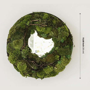 Dova Art Circle Moss Art, Living Moss Wall Art, Preserved Moss Art No Maintenance, Moss Pictures, Modern Moss Art Designs For Minimalist Homes by Dovaart.com