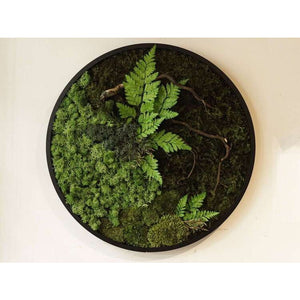 Dova Art Circle Moss Art, Living Moss Wall Art, Preserved Moss Art No Maintenance, Moss Pictures, Modern Moss Art Designs For Minimalist Homes by Dovaart.com