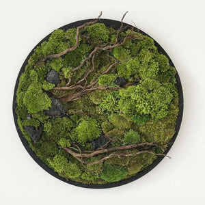 Dova Art Circle Moss Art, Living Moss Wall Art, Preserved Moss Art No Maintenance, Moss Pictures, Modern Moss Art Designs For Minimalist Homes by Dovaart.com