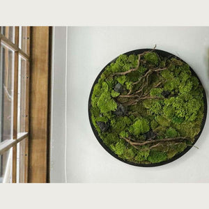 Dova Art Circle Moss Art, Living Moss Wall Art, Preserved Moss Art No Maintenance, Moss Pictures, Modern Moss Art Designs For Minimalist Homes by Dovaart.com