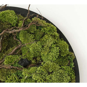 Dova Art Circle Moss Art, Living Moss Wall Art, Preserved Moss Art No Maintenance, Moss Pictures, Modern Moss Art Designs For Minimalist Homes by Dovaart.com