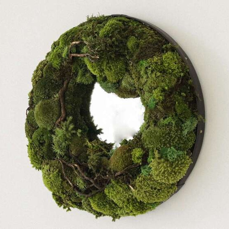 Dova Art Circle Moss Art, Living Moss Wall Art, Preserved Moss Art No Maintenance, Moss Pictures, Modern Moss Art Designs For Minimalist Homes by Dovaart.com