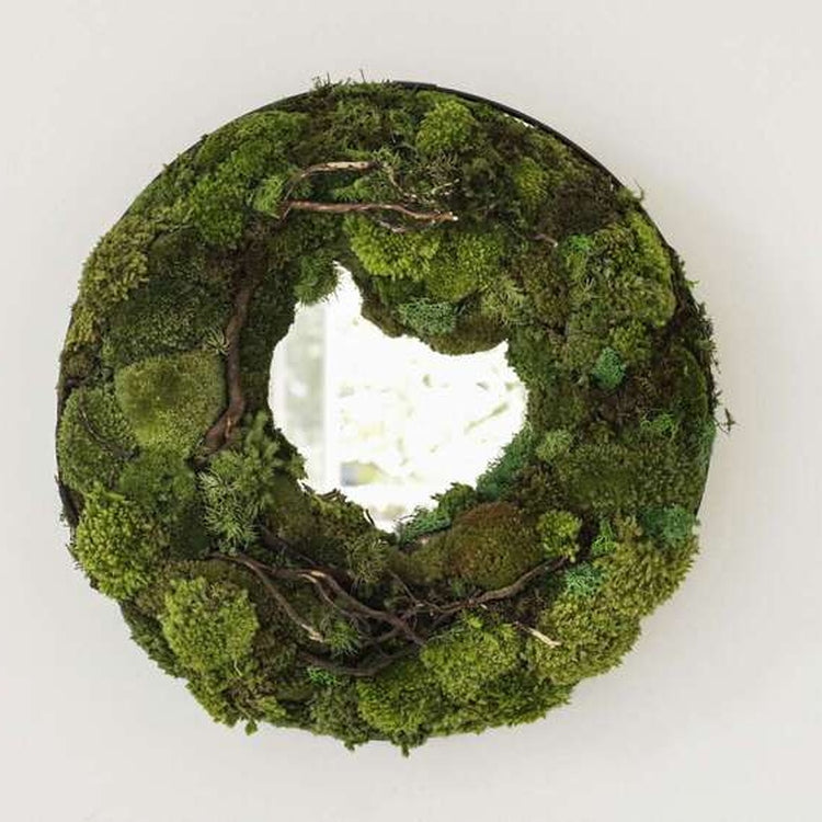 Dova Art Circle Moss Art, Living Moss Wall Art, Preserved Moss Art No Maintenance, Moss Pictures, Modern Moss Art Designs For Minimalist Homes by Dovaart.com