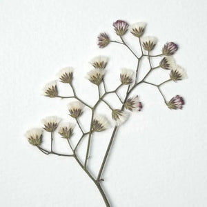 Personalized Couple with Dog Pebble Art, Wedding Engagement Gifts for Him Her, Wedding Anniversary Gift by Dovaart.com