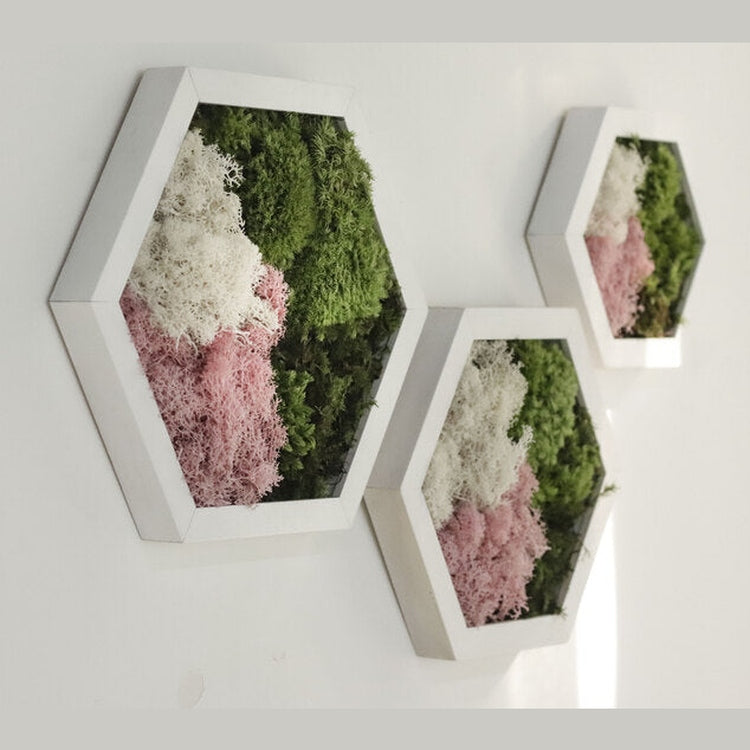 Dova Art Hexagon Moss Wall Art Panels Made with Real Moss No Maintenance Required, Preserved Moss Art Frame, Hanging Moss Art, Live Wall Moss Decor by Dovaart.com