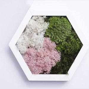 Dova Art Hexagon Moss Wall Art Panels Made with Real Moss No Maintenance Required, Preserved Moss Art Frame, Hanging Moss Art, Live Wall Moss Decor by Dovaart.com