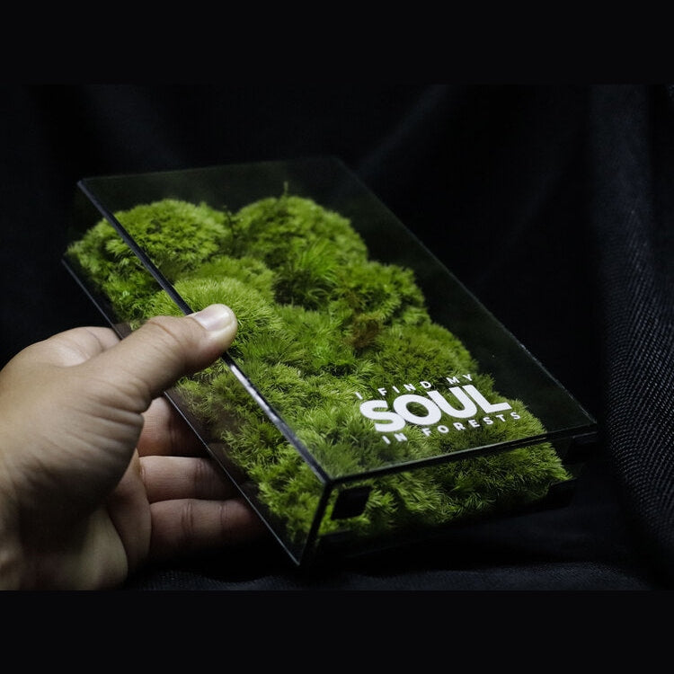 Dova Art Botanical Moss Art, Preserved Moss Box Terrarium, Ready-Assembled Geometric Green Centrepiece with Preserved Moss Art Decor, Moss Terrarium by Dovaart.com