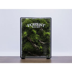 Dova Art Preserved Moss Box Terrarium, Ready-Assembled Geometric Green Centrepiece with Preserved Moss Art Decor, Botanical Moss Art, Moss Terrarium, Mossarium Desk Decor by Dovaart.com