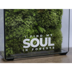 Dova Art Botanical Moss Art, Preserved Moss Box Terrarium, Ready-Assembled Geometric Green Centrepiece with Preserved Moss Art Decor, Moss Terrarium by Dovaart.com