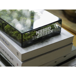 Dova Art Botanical Moss Art, Preserved Moss Box Terrarium, Ready-Assembled Geometric Green Centrepiece with Preserved Moss Art Decor, Moss Terrarium by Dovaart.com