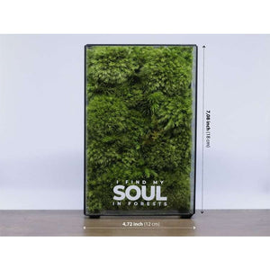 Dova Art Botanical Moss Art, Preserved Moss Box Terrarium, Ready-Assembled Geometric Green Centrepiece with Preserved Moss Art Decor, Moss Terrarium by Dovaart.com