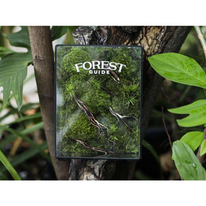 Dova Art Preserved Moss Box Terrarium, Ready-Assembled Geometric Green Centrepiece with Preserved Moss Art Decor, Botanical Moss Art, Moss Terrarium, Mossarium Desk Decor by Dovaart.com