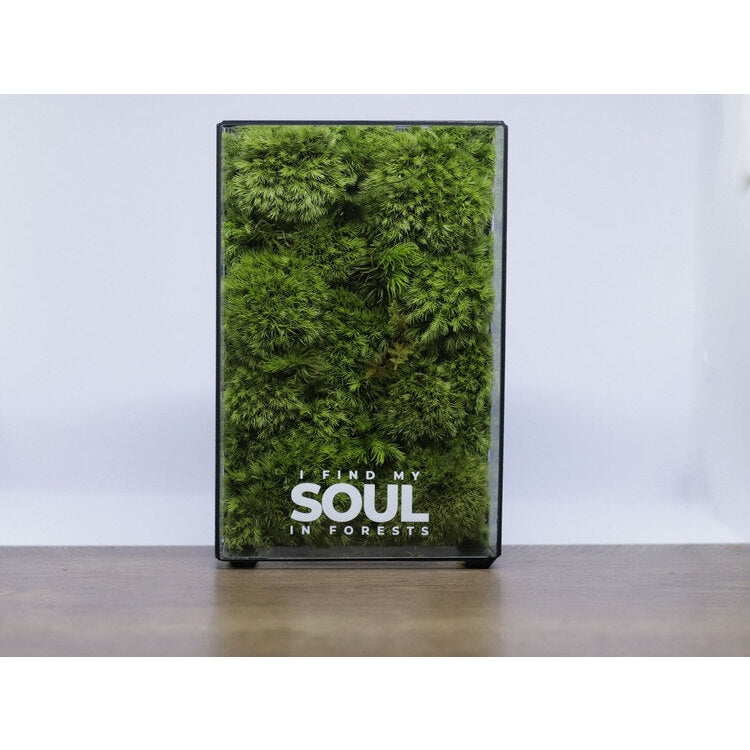Dova Art Botanical Moss Art, Preserved Moss Box Terrarium, Ready-Assembled Geometric Green Centrepiece with Preserved Moss Art Decor, Moss Terrarium by Dovaart.com