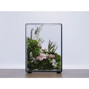 Dova Art Preserved Moss Box Terrarium, Ready-Assembled Geometric Green Centrepiece with Preserved Moss Art Decor, Botanical Moss Art, Moss Terrarium, Mossarium Desk Decor by Dovaart.com