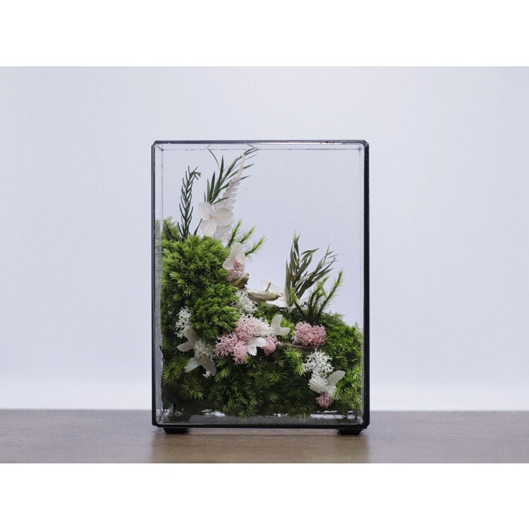 Dova Art Preserved Moss Box Terrarium, Ready-Assembled Geometric Green Centrepiece with Preserved Moss Art Decor, Botanical Moss Art, Moss Terrarium, Mossarium Desk Decor by Dovaart.com