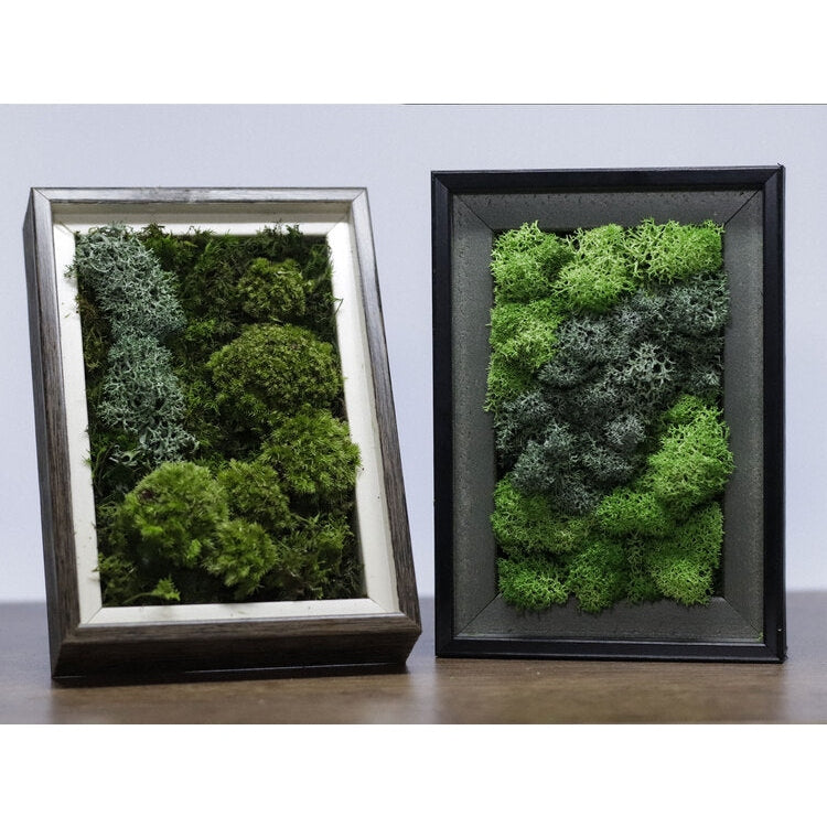 Dova Art Preserved Moss Art Frame For Desk, Frame Moss Art Desktop Mossarium Moss Frame Decor, Handcrafted Moss Art Decor For Living Rooms, Moss Art No Maintenance Required, Moss Mix Framed by Dovaart.com