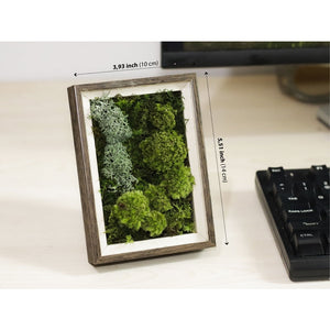Dova Art Preserved Moss Art Frame For Desk, Frame Moss Art Desktop Mossarium Moss Frame Decor, Handcrafted Moss Art Decor For Living Rooms, Moss Art No Maintenance Required, Moss Mix Framed by Dovaart.com