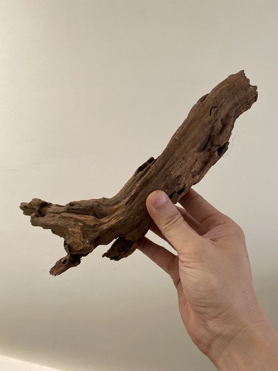 driftwood for aquarium decor