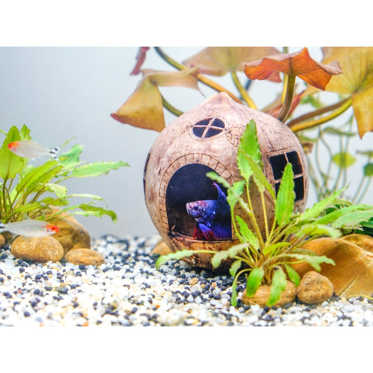 fish hiding accessories Aquarium Cave Coconut Shell Cave, Fish Hide Cave, Cloves Cave, Betta F – Dova Art