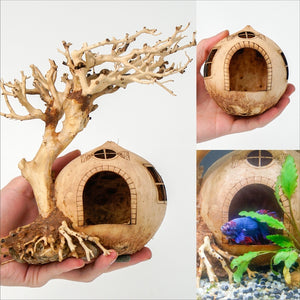 Coconut Shell Cave With aquarium driftwood bonsai, Fish Hide Cave, Cichlid Cave, Betta Fish Cave, Shrimp Cave, Planted Aquarium With Driftwood by Dovaart.com