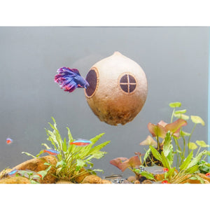 Aquarium Cave Coconut Shell With Suction Cup Mounted On The Wall Of The Fish Tank, Fish Cave 4 inch by Dovaart.com