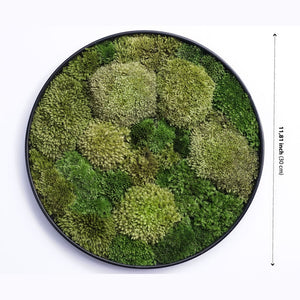 Dova Art Round Moss Wall Art, Circle Moss Art, Wall Moss Decor For Living Room, Preserved Moss Wall, Moss No Maintenance Required Moss Art by Dovaart.com