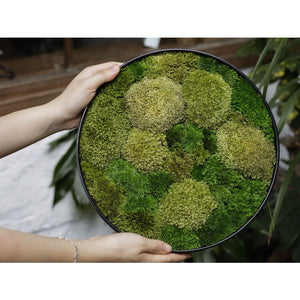 Dova Art Round Moss Wall Art, Circle Moss Art, Wall Moss Decor For Living Room, Preserved Moss Wall, Moss No Maintenance Required Moss Art by Dovaart.com