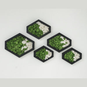 Dova Art Preserved Moss Wall Art, Moss Hexagon Wall Panels Made With Real Moss No Maintenance Required, Moss Mix Wall Art, Plant Lover's Gift by Dovaart.com