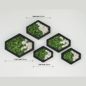 Dova Art Preserved Moss Wall Art, Moss Hexagon Wall Panels Made With Real Moss No Maintenance Required, Moss Mix Wall Art, Plant Lover's Gift by Dovaart.com