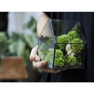 Dova Art Moss Terrarium, Preserved Moss Art, Live Moss Terrarium For Plant Lover, Mossarium Desk Decor, Preserved Plant, Terrarium Moss And Plants by Dovaart.com